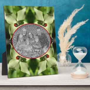 Ladybug auf Dogwood-Blume Fügen Sie Ihr Foto hinzu Fotoplatte