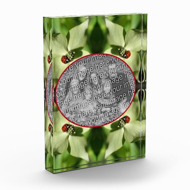 Ladybug auf Dogwood-Blume Fügen Sie Ihre eigenen h Fotoblock (Links)