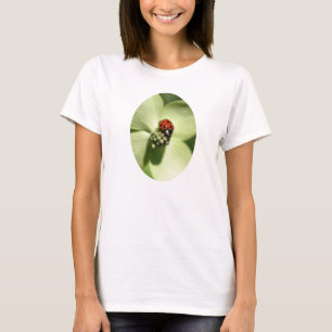 Ladybug auf Dogwood Blume Nature T-Shirt