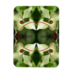 Ladybug auf Dogwood Blume Rahmen hinzufügen Foto Magnet