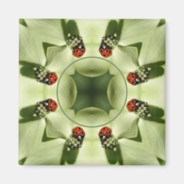 Ladybug auf Dogwood Nature Fügen Sie Ihr Foto hinz Magnet (Vorne)