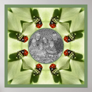 Ladybug auf Dogwood Nature Fügen Sie Ihr Foto hinz Poster