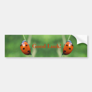 Ladybug auf einem Grashalm-Autoaufkleber Autoaufkleber