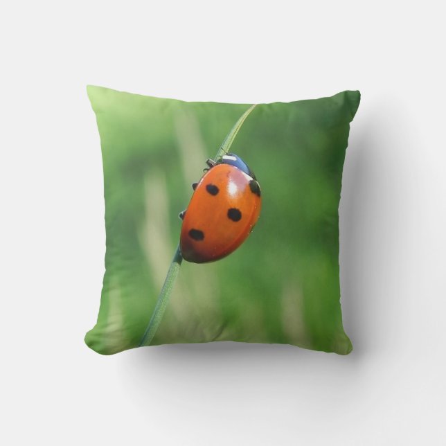 Ladybug auf einem Grashalm Kissen (Vorderseite)