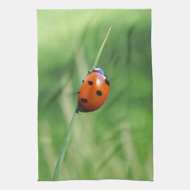 Ladybug auf einem Grashalm Küchentuch (Vertikal)