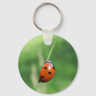Ladybug auf einem Grashalm-Schlüsselanhänger Schlüsselanhänger