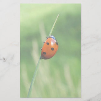 Ladybug auf einer Grashalde Briefpapier