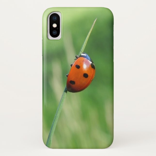 Ladybug auf einer Grashalde Case-Mate iPhone Hülle (Rückseite)