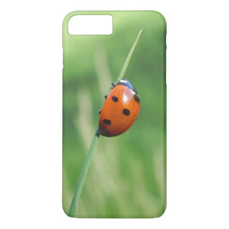 Ladybug auf einer Grashalde iPhone 8 Plus/7 Plus Hülle
