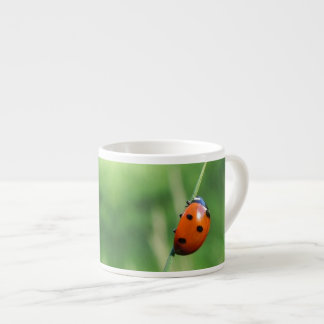 Ladybug auf einer Grashalde Espressotasse