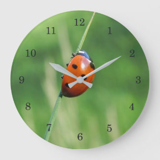 Ladybug auf einer Grashalde Große Wanduhr