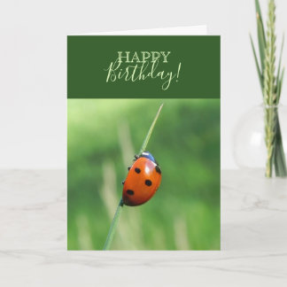 Ladybug auf einer Grashalde Karte