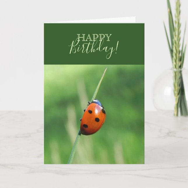 Ladybug auf einer Grashalde Karte (Vorderseite)
