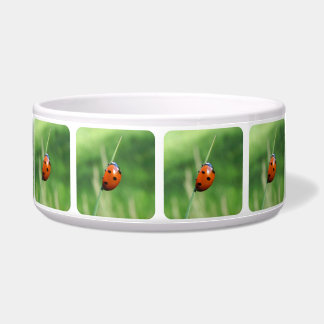 Ladybug auf einer Grashalde Pet Bowls Napf