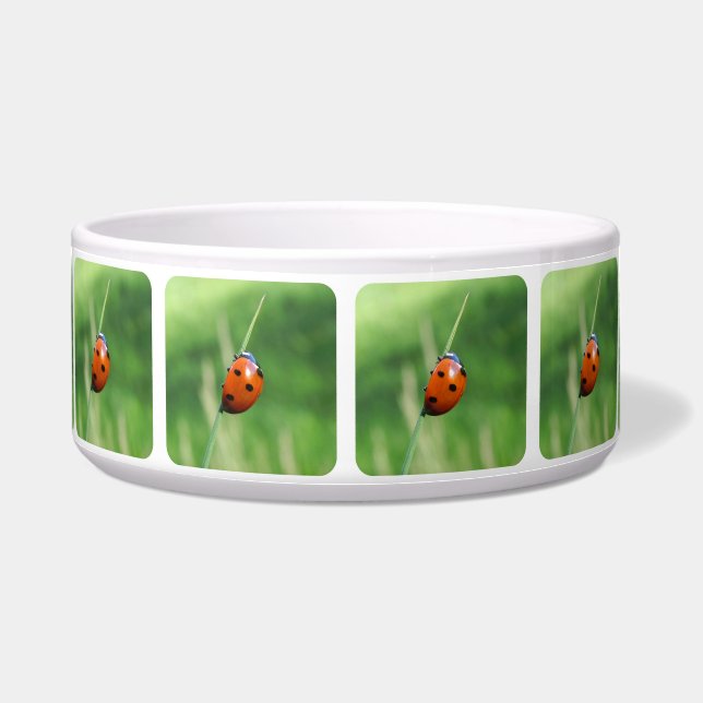 Ladybug auf einer Grashalde Pet Bowls Napf (Vorderseite)