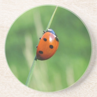 Ladybug auf einer Grashalde Sandstein Untersetzer