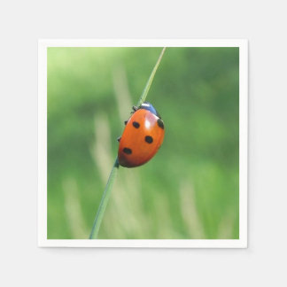 Ladybug auf einer Grashalde Serviette
