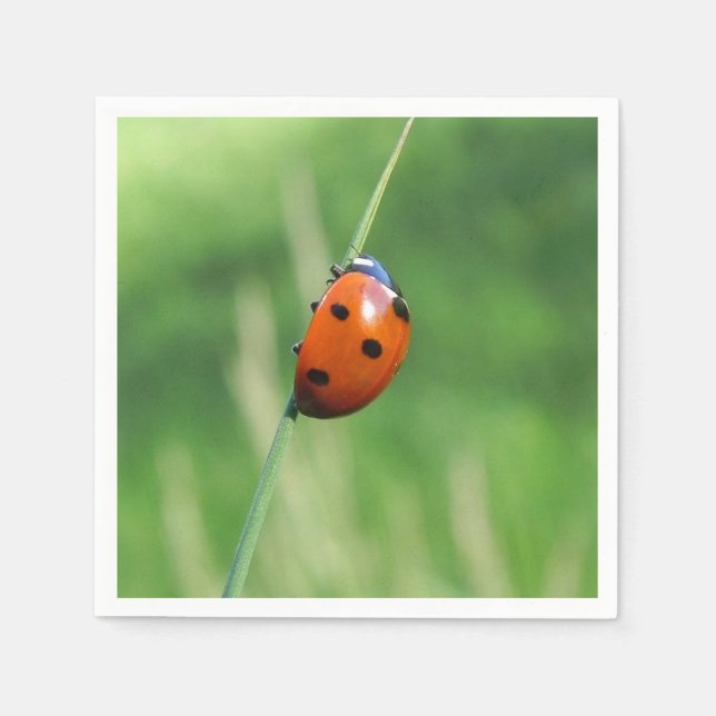 Ladybug auf einer Grashalde Serviette (Vorderseite)