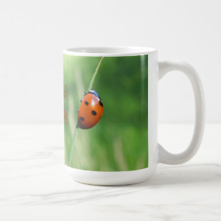 Ladybug auf einer Grashalde-Tasse Tasse