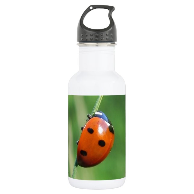Ladybug auf einer Grashalde Trinkflasche (Vorderseite)
