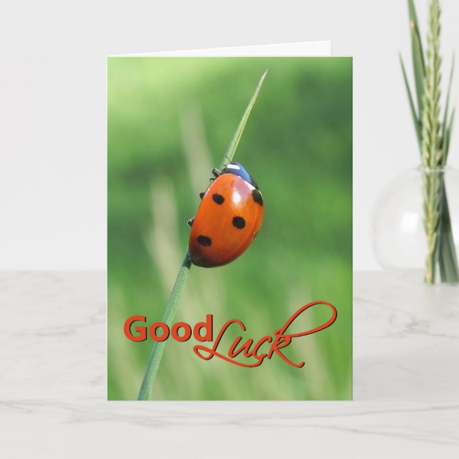 Ladybug auf einer Grashalde - Viel Glück Card Karte (Vorderseite)