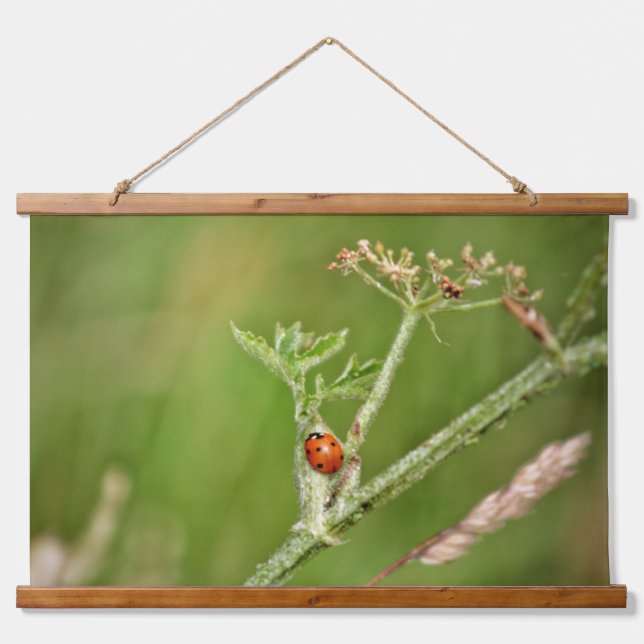 Ladybug auf einer grünen Pflanze Wandteppich Mit Holzrahmen (Vorne)