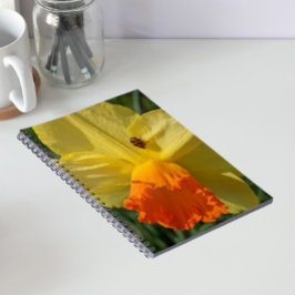 Ladybug auf gelber affodischer Ebene Notizblock