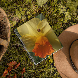 Ladybug auf gelber affodischer Ebene Notizblock