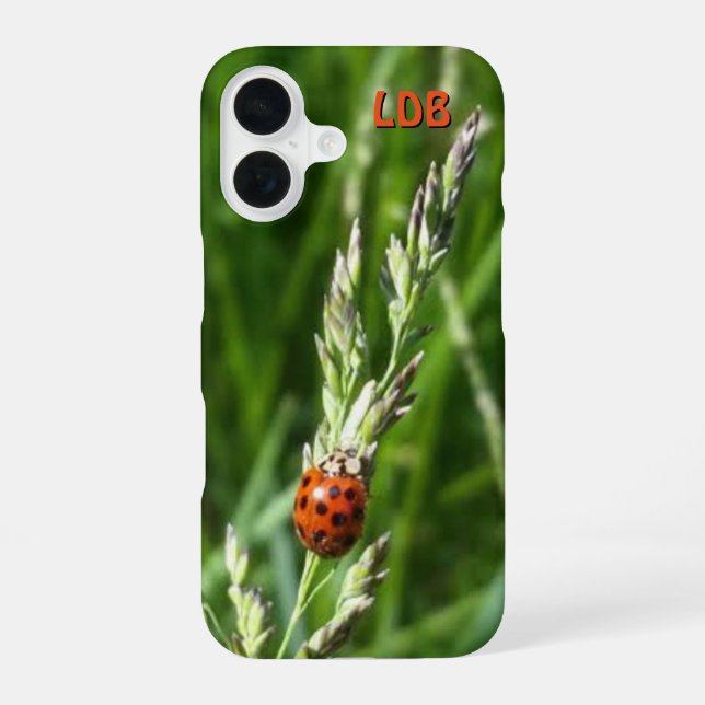 Ladybug auf Gras iPhone 16 Hülle (Rückseite)