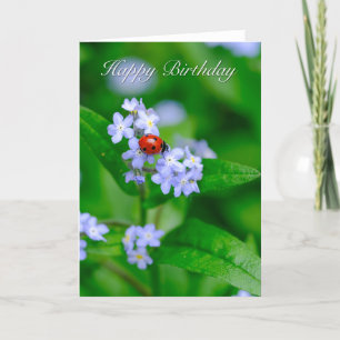 Ladybug auf Vergessen-me-not-Birthday Card Karte