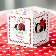 Ladybug Babydusche bevorzugt personalisiert