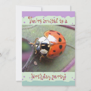Ladybug Birthday Einladung