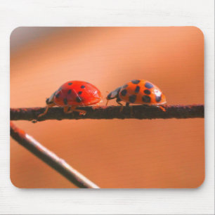 Ladybug Buddies Nature Mousepad