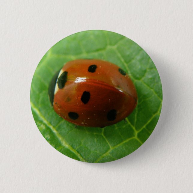 Ladybug Button (Vorderseite)
