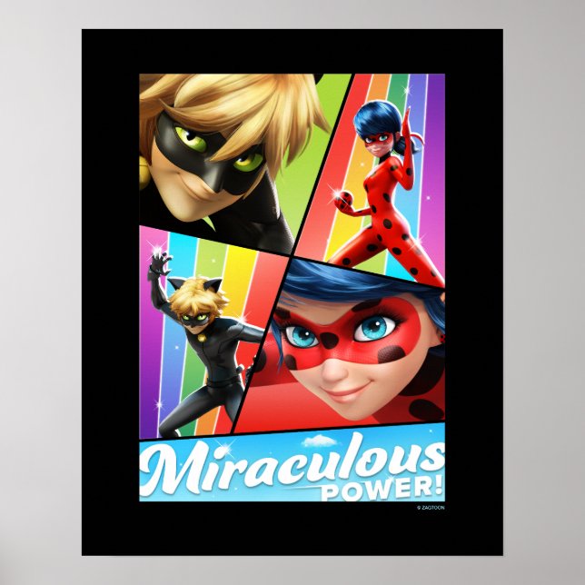 Ladybug & Cat Noir | Wunderbarer Power! Poster (Vorne)