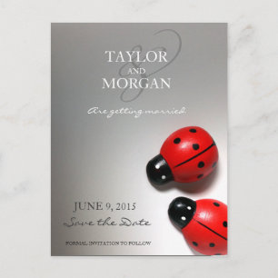 Ladybug Classic Modern Wedding rettet das Datum Ankündigungspostkarte
