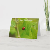 Ladybug Climbing to Success Abschluss Card