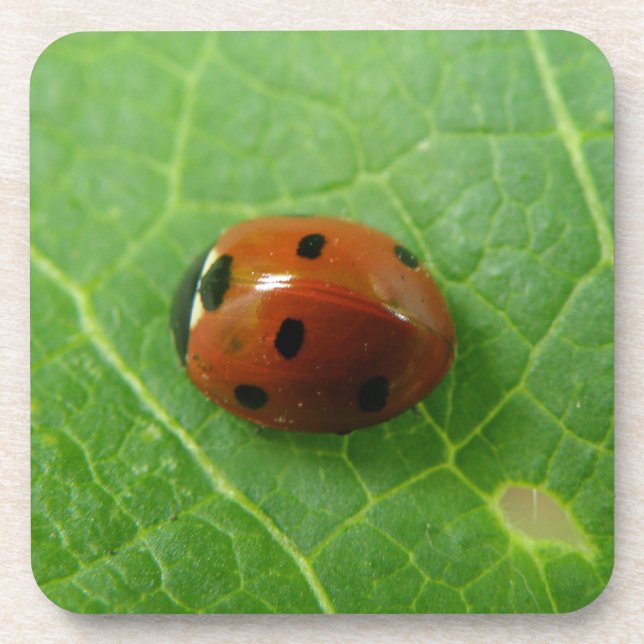 Ladybug Cork Untersetzer (Vorderseite)