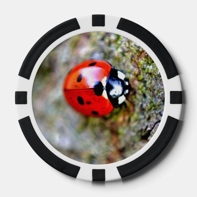 Ladybug Crawling auf Tree Trunk Pokerchips (Vorderseite)
