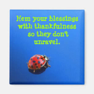 Ladybug Danke Magnet