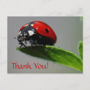 LadyBug Danke! Postkarte