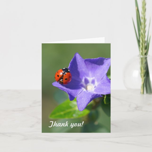 Ladybug Dankeschön Note Card Dankeskarte (Vorderseite)