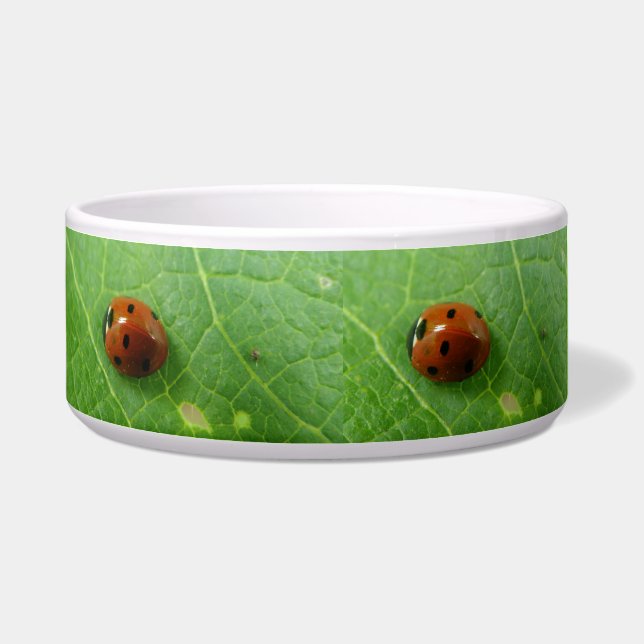 Ladybug Dog Bowl Napf (Links)
