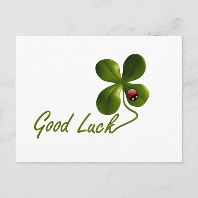 Ladybug dot beetle Office Custom Destiny Destiny's Postkarte (Vorderseite)