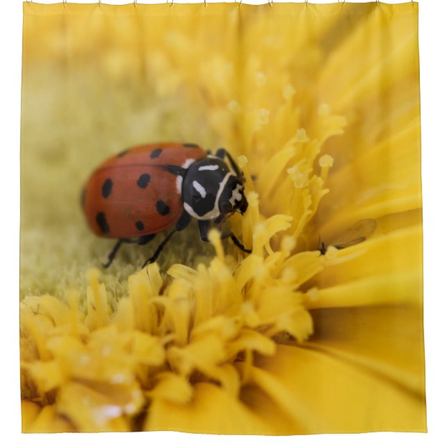 Ladybug-Duschvorhang Duschvorhang (Vorderseite)
