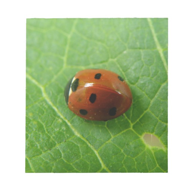 Ladybug Editor Notizblock (Vorderseite)