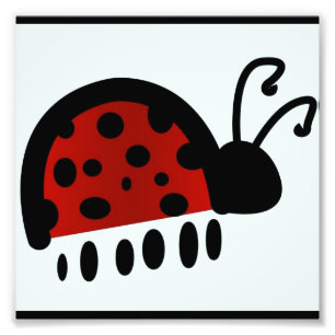Ladybug Fotodruck