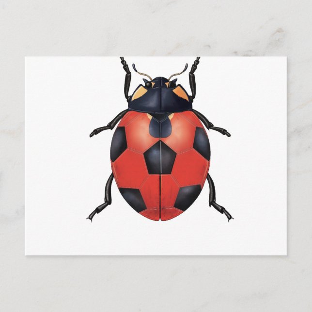 Ladybug Fußball Postkarte (Vorderseite)