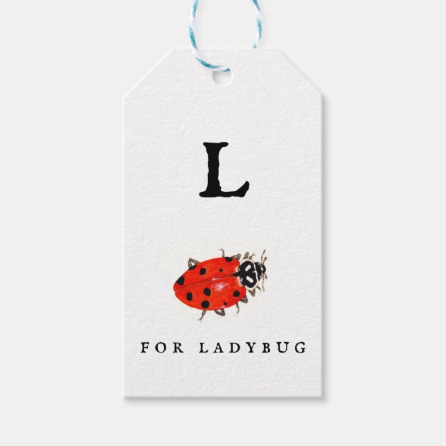 Ladybug Geschenkanhänger (Vorderseite)