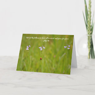 Ladybug Grace Scripture Card John 1:16 Karte